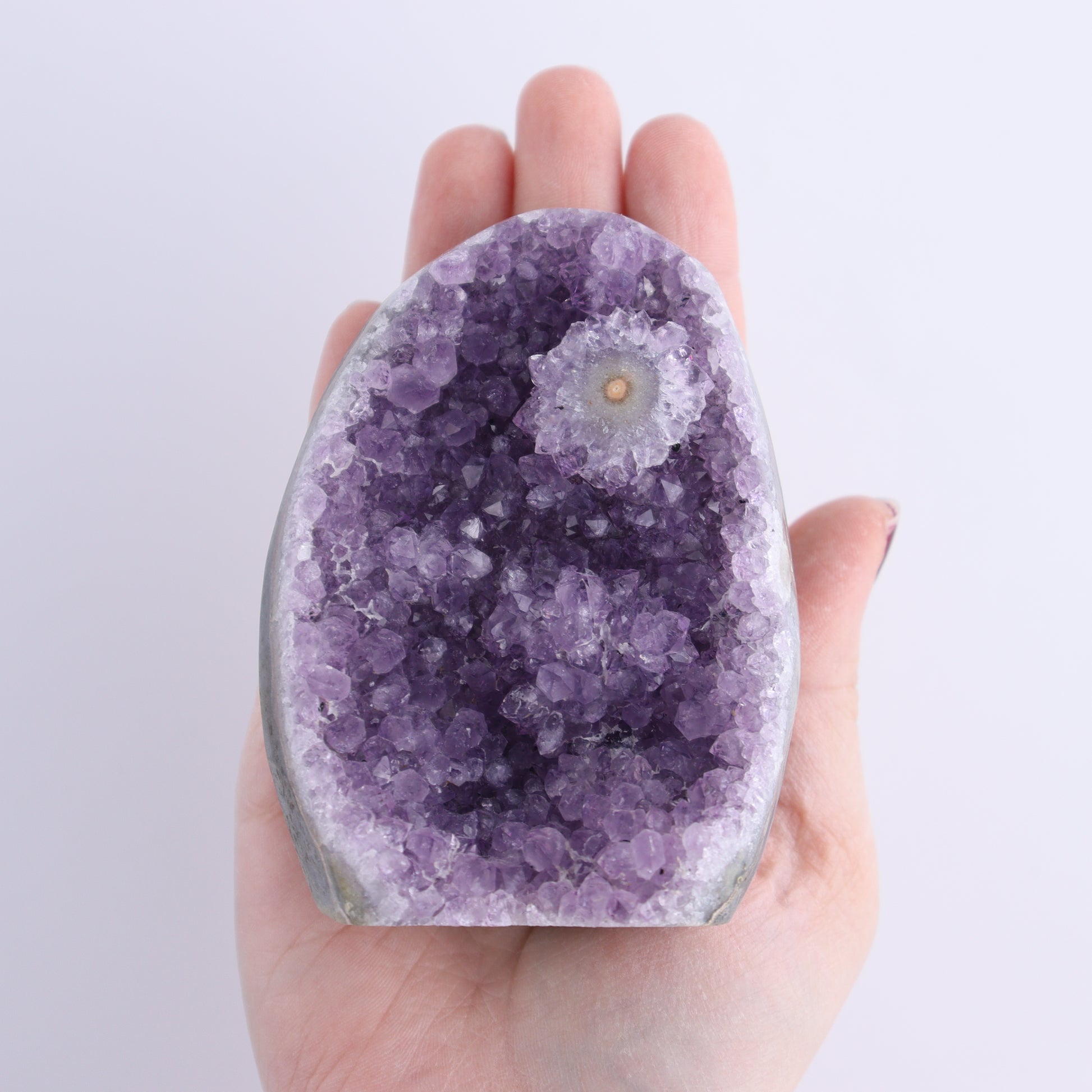 Uruguay Amethyst Cut Base Set of 4 - Expert Wholesale and Supplier of Wholesale Crystals & Bulk Gemstones, ["Amethyst","Cut Base","Uruguay"]