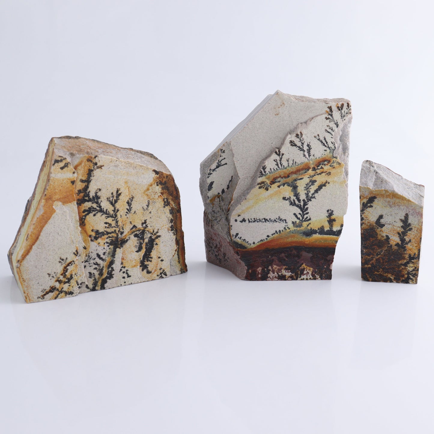 Dendrites Flat Set of 5 - Expert Wholesale and Supplier of Wholesale Crystals & Bulk Gemstones, ["Dendrite","Flats"]