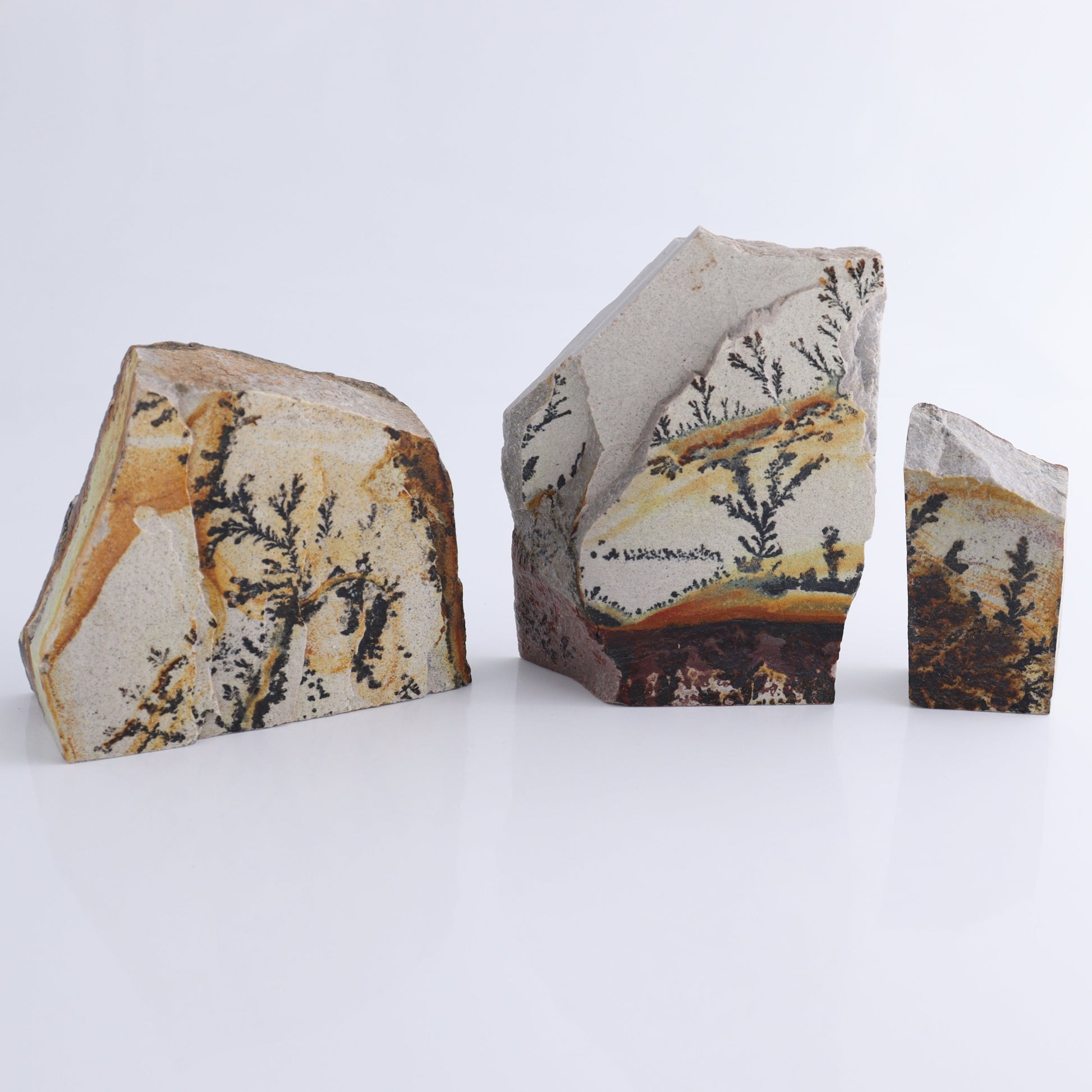 Dendrites Flat Set of 5 - Expert Wholesale and Supplier of Wholesale Crystals & Bulk Gemstones, ["Dendrite","Flats"]