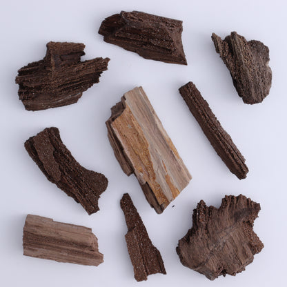 Permineralized Wood Flat of 35 - Expert Wholesale and Supplier of Wholesale Crystals & Bulk Gemstones, ["Flats","Germany","Permineralized Wood"]