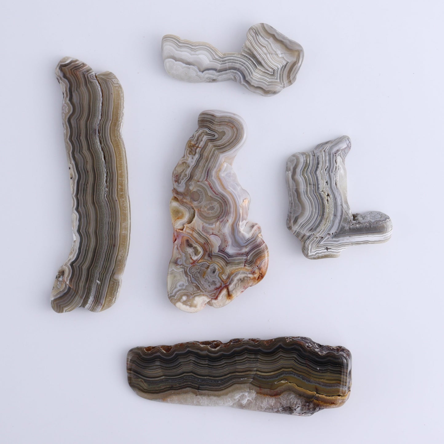 Agate Slices Set of 5 - Expert Wholesale and Supplier of Wholesale Crystals & Bulk Gemstones, ["Agate","Slices and Slabs"]