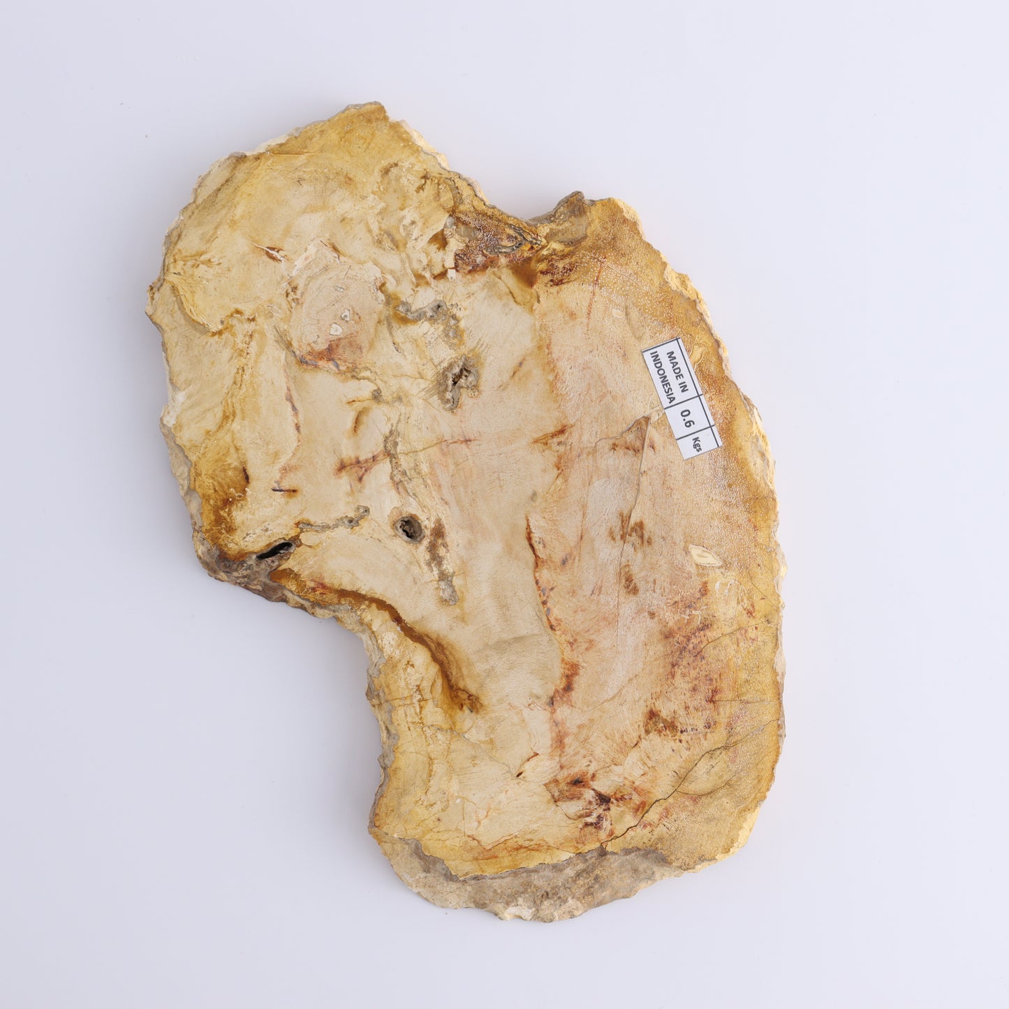 Petrified Wood Slices & Slabs Set of 3 - Expert Wholesale and Supplier of Wholesale Crystals & Bulk Gemstones, ["Freeforms","Indonesia","Petrified Wood","Slices and Slabs"]