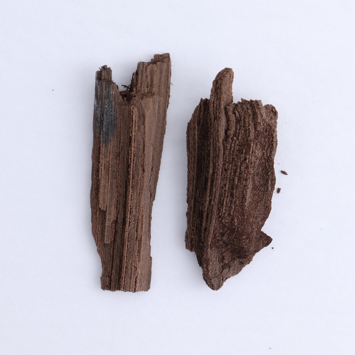 Permineralized Wood Flat of 6