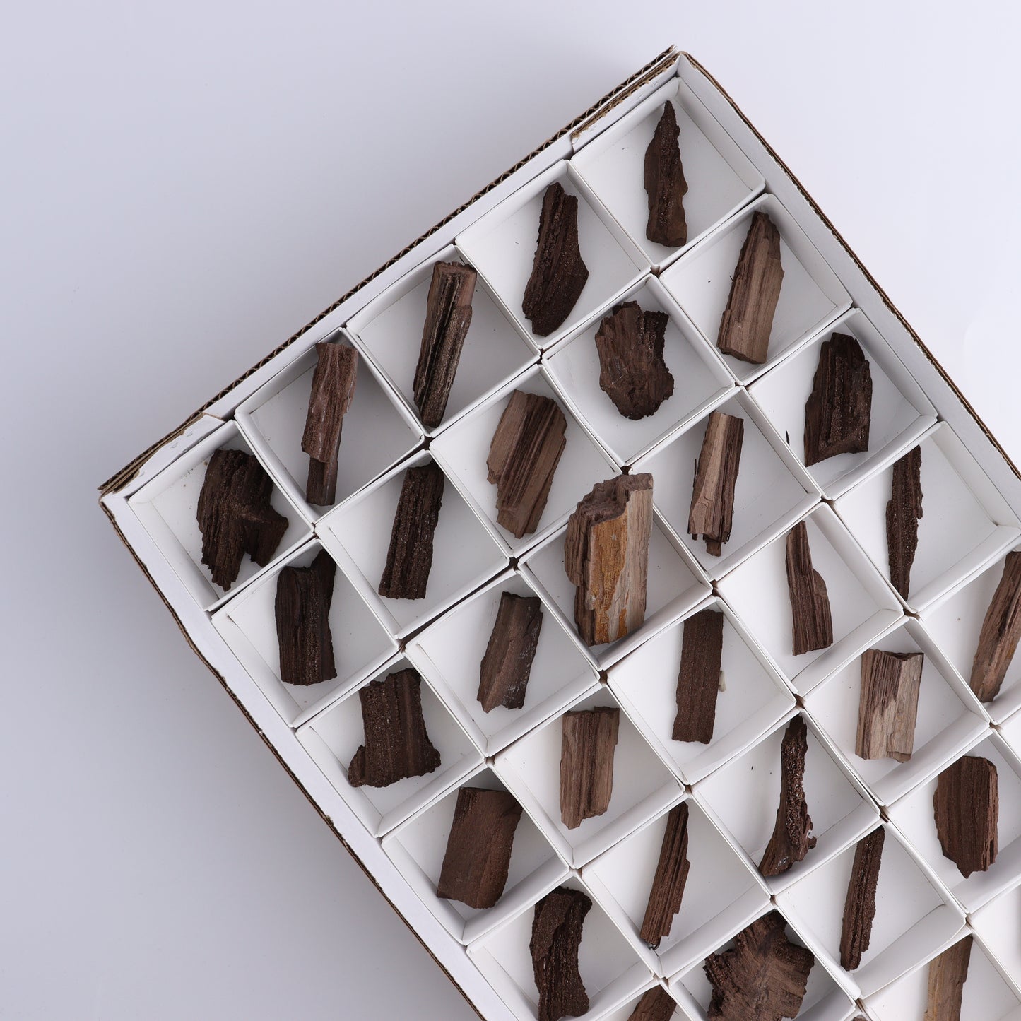 Permineralized Wood Flat of 35 - Expert Wholesale and Supplier of Wholesale Crystals & Bulk Gemstones, ["Flats","Germany","Permineralized Wood"]