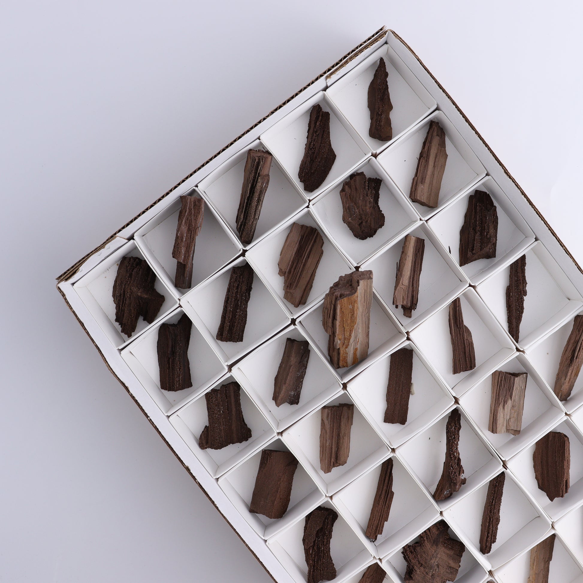 Permineralized Wood Flat of 35 - Expert Wholesale and Supplier of Wholesale Crystals & Bulk Gemstones, ["Flats","Germany","Permineralized Wood"]