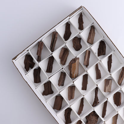 Permineralized Wood Flat of 35 - Expert Wholesale and Supplier of Wholesale Crystals & Bulk Gemstones, ["Flats","Germany","Permineralized Wood"]