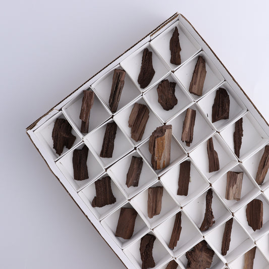 Permineralized Wood Flat of 35 - Expert Wholesale and Supplier of Wholesale Crystals & Bulk Gemstones, ["Flats","Germany","Permineralized Wood"]