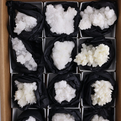 Aragonite Clusters Set of 12 - Expert Wholesale and Supplier of Wholesale Crystals & Bulk Gemstones, ["aragonite","Clusters","Freeforms","Mexico"]