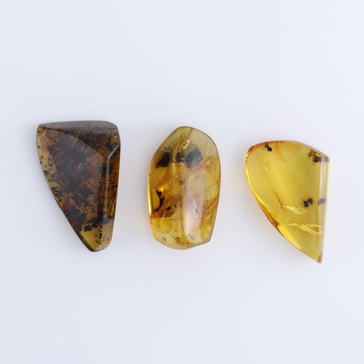 Chiapas Mexico Amber Freeforms Set of 13