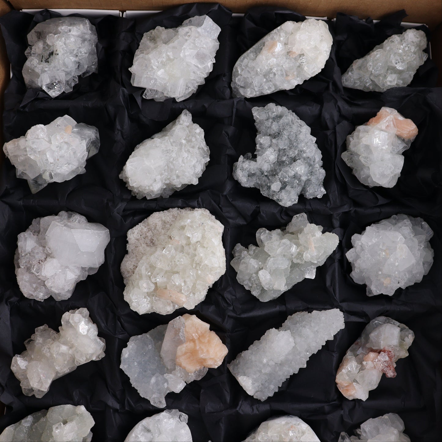 Apophyllite Clusters Flat of 24 - Expert Wholesale and Supplier of Wholesale Crystals & Bulk Gemstones, ["Apophyllite","Clusters","Flats"]