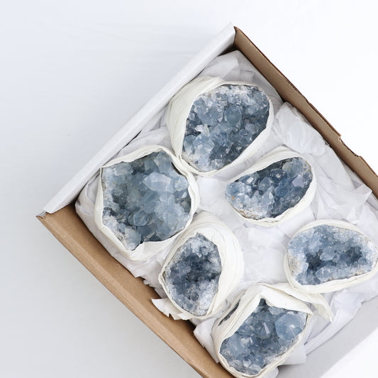 Celestite Clusters Set of 6