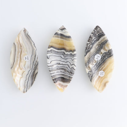 One Mexican Onyx/Calcite Black & Yellow Zebra Leaf Dish