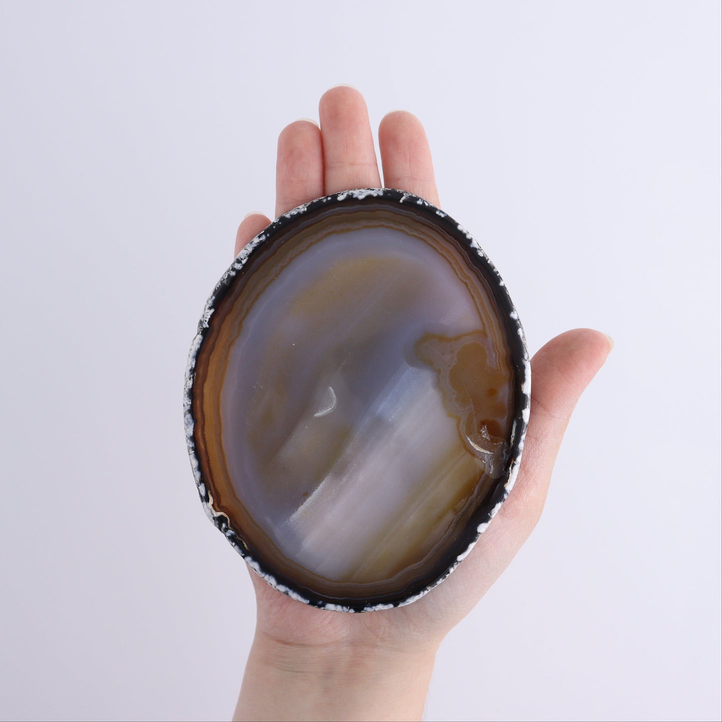 Agate Slices Set of 8 - Expert Wholesale and Supplier of Wholesale Crystals & Bulk Gemstones, ["Agate","Slices and Slabs"]
