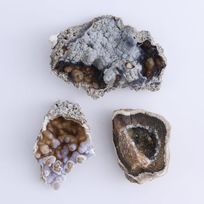 Agatized Coral Flat