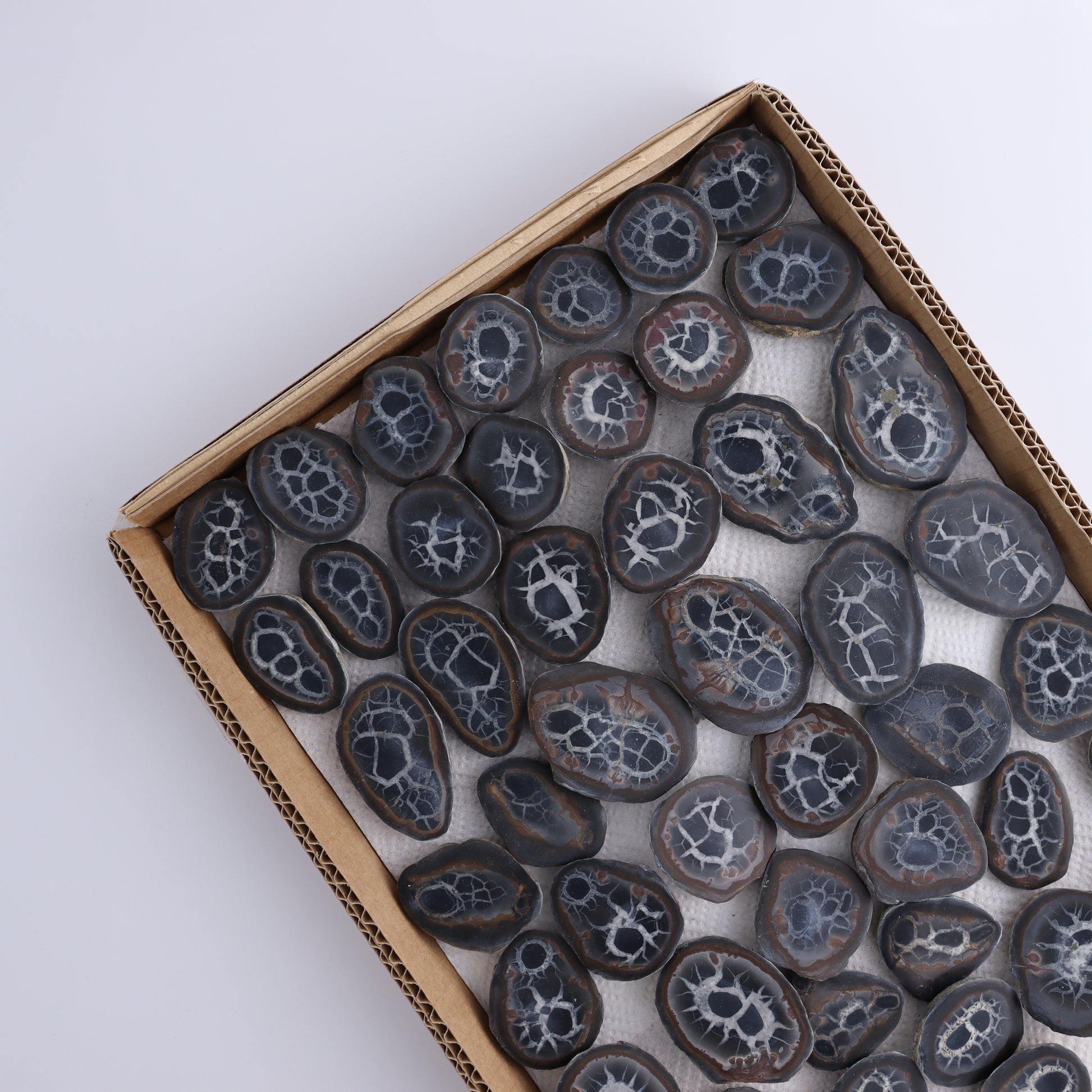 Septarian Geodes Flat - Expert Wholesale and Supplier of Wholesale Crystals & Bulk Gemstones, ["Geodes","Septarian"]