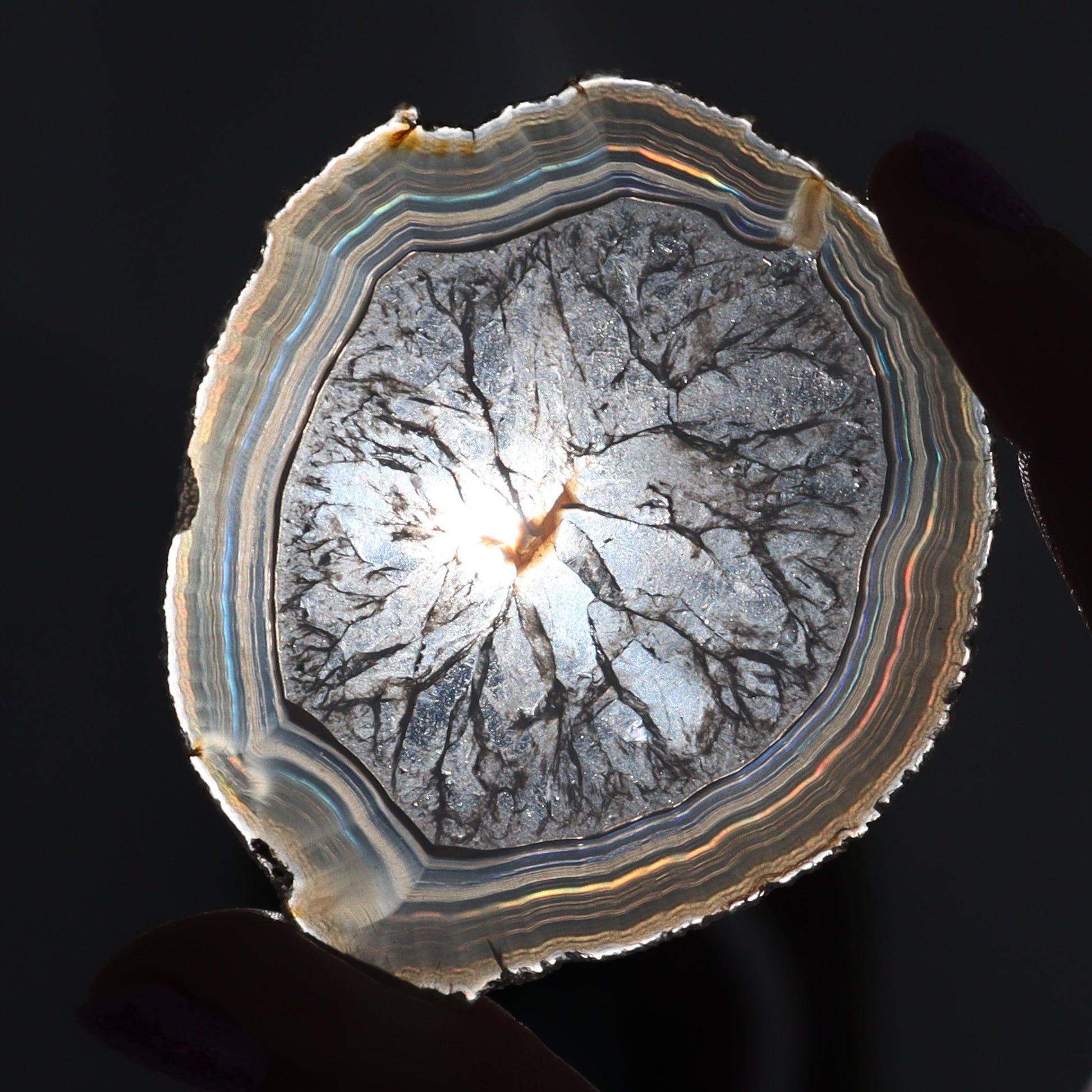 Iris Agate Slices Set of 6 - Expert Wholesale and Supplier of Wholesale Crystals & Bulk Gemstones, ["Agate","Iris Agate","Slices and Slabs"]