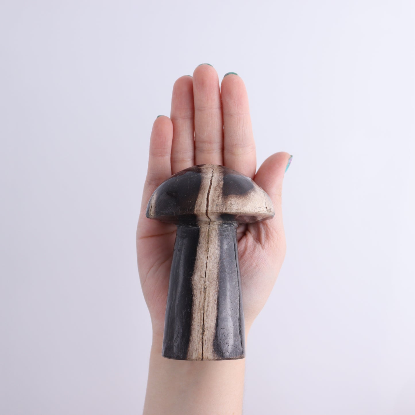 Petrified Wood Mushrooms Set of 4 - Expert Wholesale and Supplier of Wholesale Crystals & Bulk Gemstones, ["Indonesia","Mushrooms","Petrified Wood"]