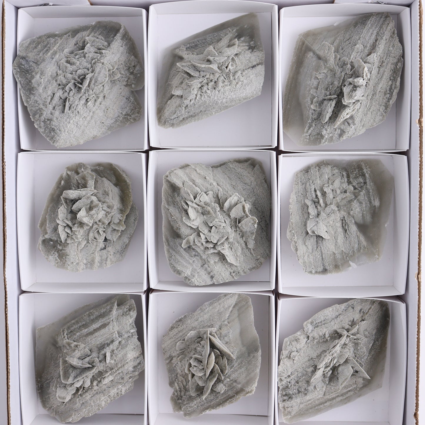 Selenite Clusters Set of 12