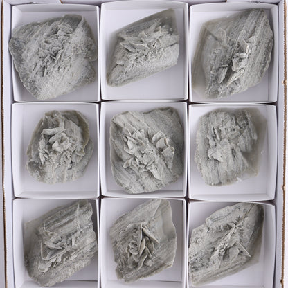 Selenite Clusters Set of 12