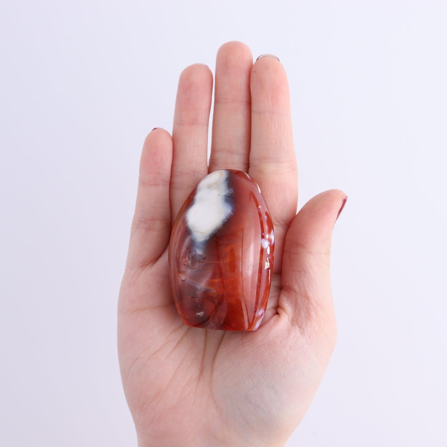 Carnelian Freeforms Set of 8 - Expert Wholesale and Supplier of Wholesale Crystals & Bulk Gemstones, ["carnelian","Freeform","Freeforms","Madagascar"]