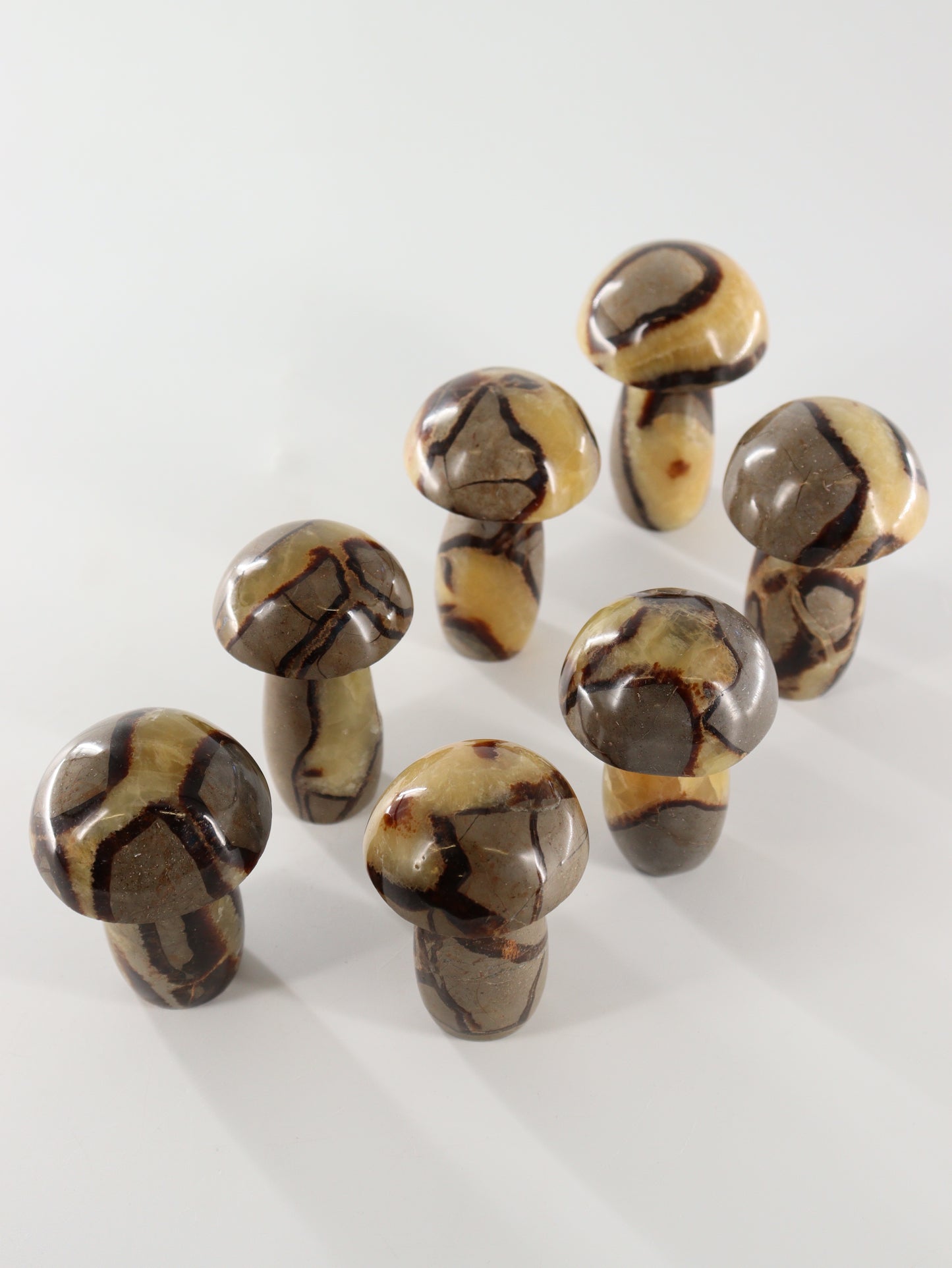 Septarian Mushrooms Set of 7 - Expert Wholesale and Supplier of Wholesale Crystals & Bulk Gemstones, []