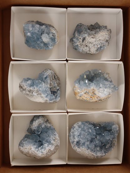 Celestite Clusters Set of 6 - Expert Wholesale and Supplier of Wholesale Crystals & Bulk Gemstones, []