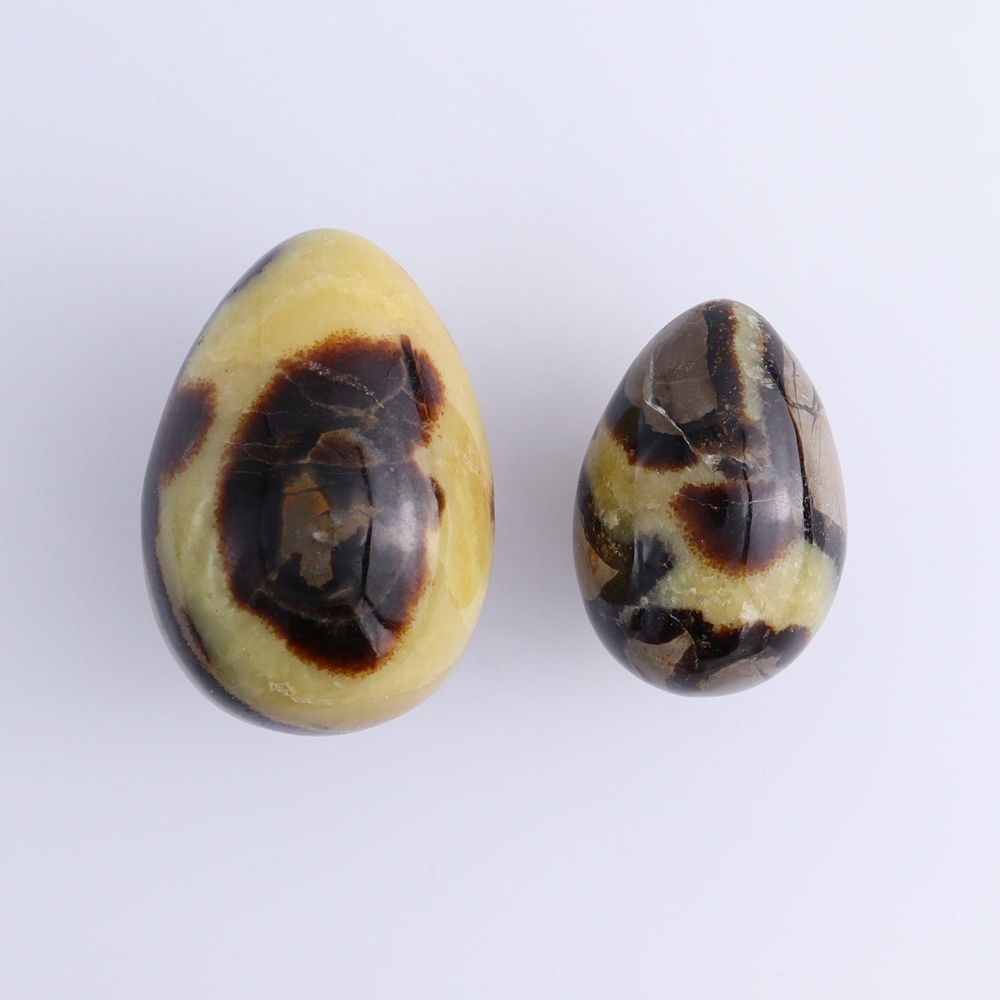 Septarian Eggs Set of 6 - Expert Wholesale and Supplier of Wholesale Crystals & Bulk Gemstones, ["Eggs","Madagascar","Septarian"]