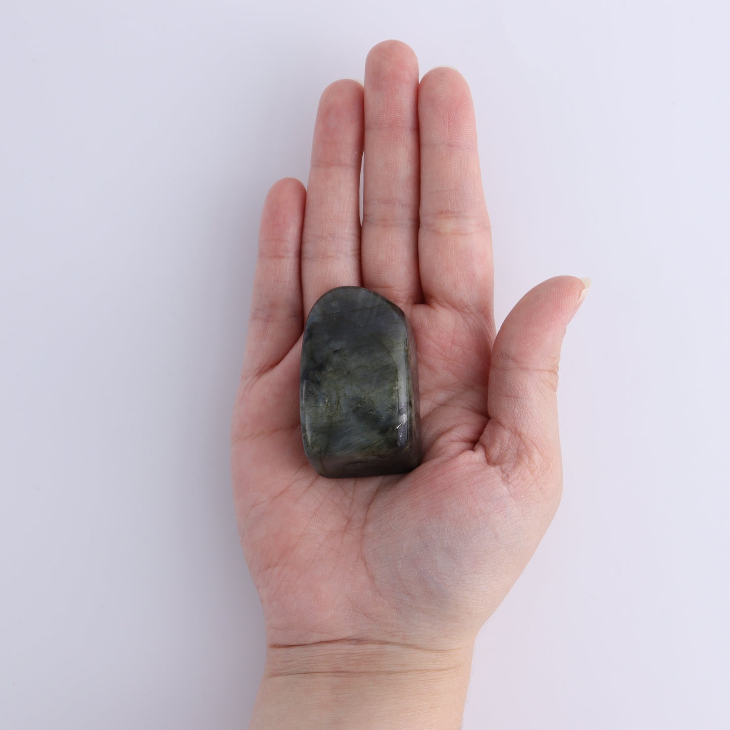 Labradorite Freeform Set of 10 - Expert Wholesale and Supplier of Wholesale Crystals & Bulk Gemstones, ["Freeforms","Labradorite","Madagascar"]