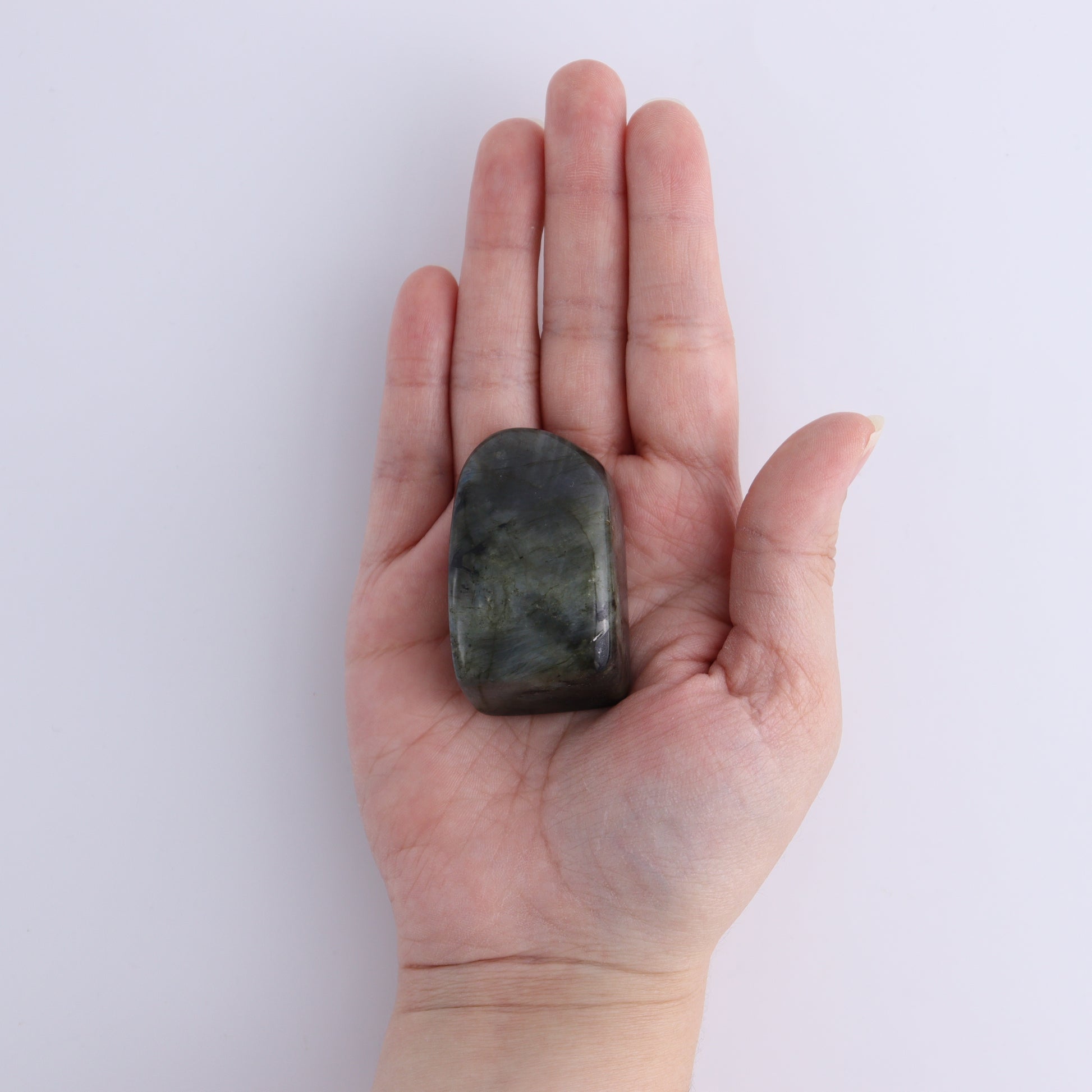 Labradorite Freeform Set of 10 - Expert Wholesale and Supplier of Wholesale Crystals & Bulk Gemstones, ["Freeforms","Labradorite","Madagascar"]
