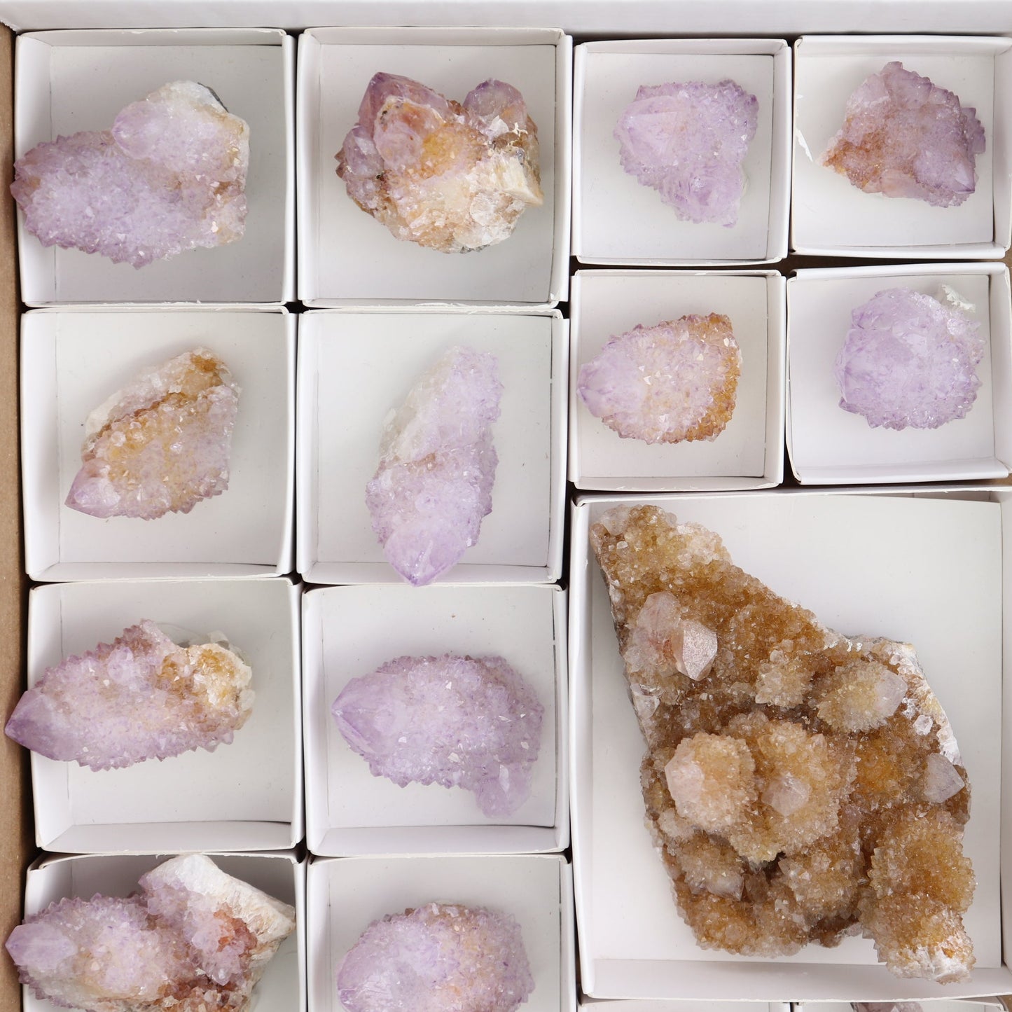 Cactus Quartz Set of 19