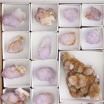 Cactus Quartz Set of 19