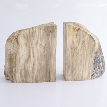 Bookends Petrified Wood - Expert Wholesale and Supplier of Wholesale Crystals & Bulk Gemstones, ["Bookends","Indonesia","Petrified Wood"]