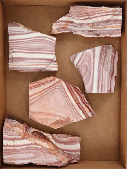 Rhyolite Slices and Slabs Set of 5 - Expert Supplier of Wholesale Crystals & Bulk Gemstones