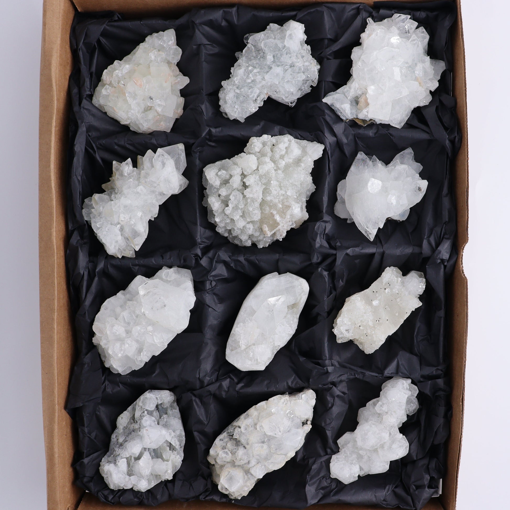 Apophyllite Clusters Flat of 12 - Expert Wholesale and Supplier of Wholesale Crystals & Bulk Gemstones, ["Apophyllite","Clusters","Flats"]
