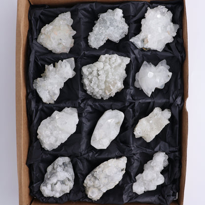 Apophyllite Clusters Flat of 12 - Expert Wholesale and Supplier of Wholesale Crystals & Bulk Gemstones, ["Apophyllite","Clusters","Flats"]