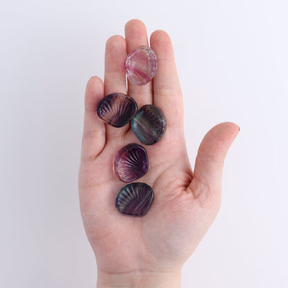 One Small Fluorite Shell
