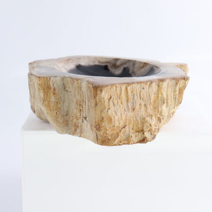 One Small Petrified Wood Brown & Black Rough Bowl