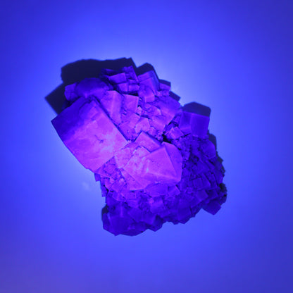 Fluorite Purple Rain Pocket Set of 7 - Expert Wholesale and Supplier of Wholesale Crystals & Bulk Gemstones, ["close_50","England","Fluorite","Purple Rain Pocket","Rough"]