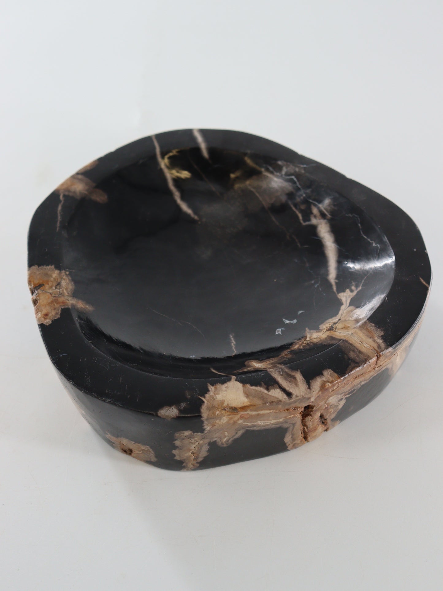 Petrified Wood Bowl