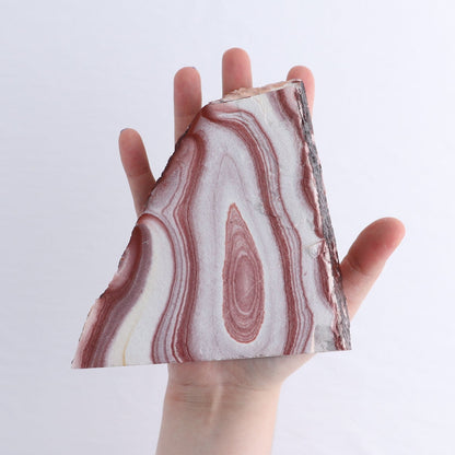 Rhyolite Slabs Set of 5