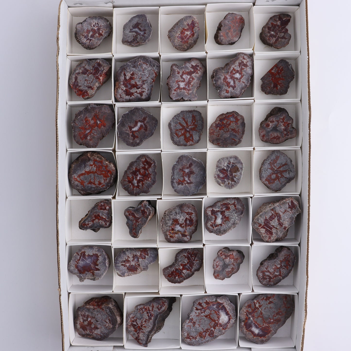 Agate Pseudo. Barite Geodes Flat of 34 - Expert Wholesale and Supplier of Wholesale Crystals & Bulk Gemstones, ["Agate","Agate Pseudo Barite","flat","Flats","Geodes","United States"]