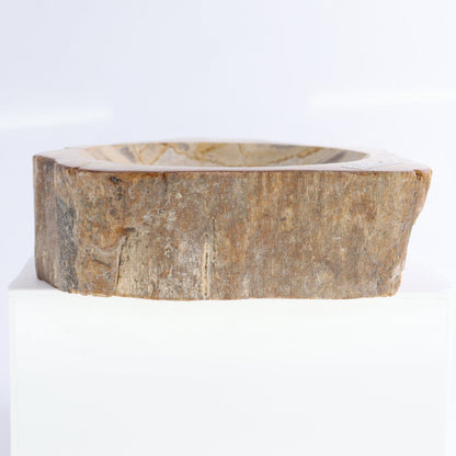Petrified Wood Bowls Set of 2 - Expert Wholesale and Supplier of Wholesale Crystals & Bulk Gemstones, ["Bowls","Indonesia","Petrified Wood"]