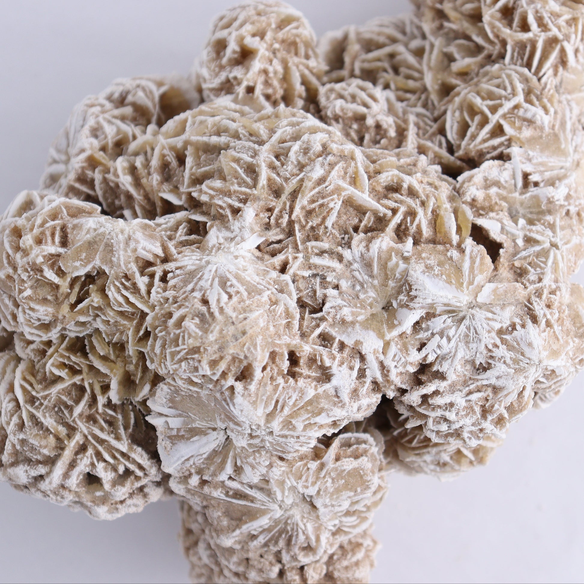 Desert Rose Cluster - Expert Wholesale and Supplier of Wholesale Crystals & Bulk Gemstones, ["Desert Rose","Freeforms"]