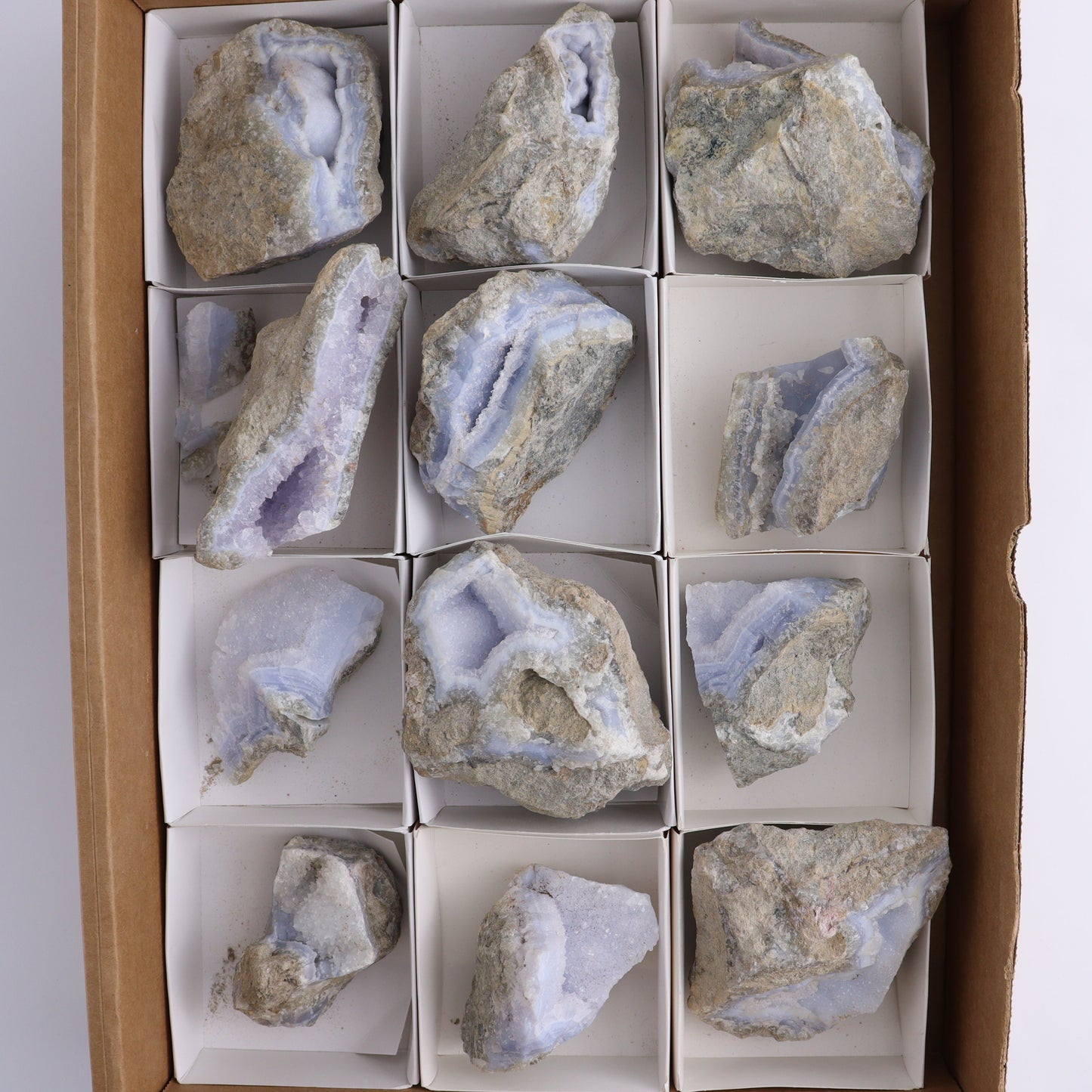 Blue Lace Agate Freeforms Set of 12