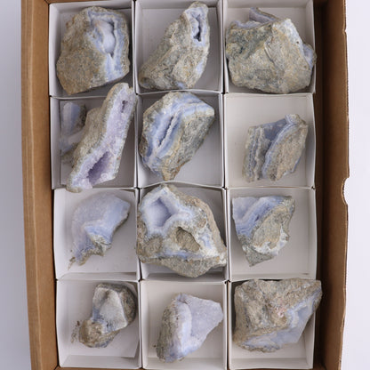 Blue Lace Agate Freeforms Set of 12