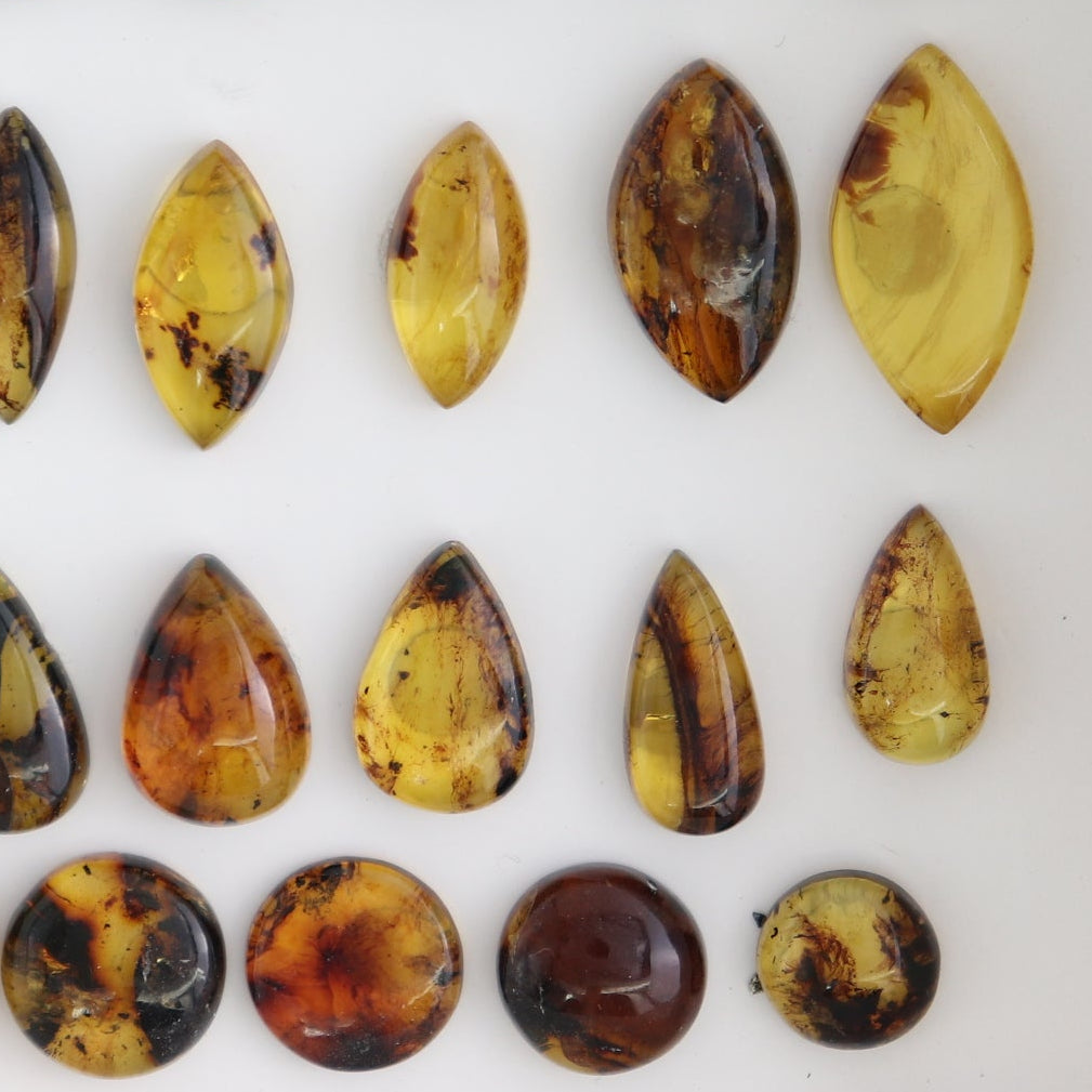 Chiapas Mexico Amber Cabs Set of 23