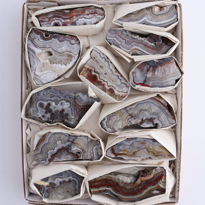 Crazy Lace Agate Flat of 12 - Expert Wholesale and Supplier of Wholesale Crystals & Bulk Gemstones, ["Crazy Lace Agate","Mexico"]