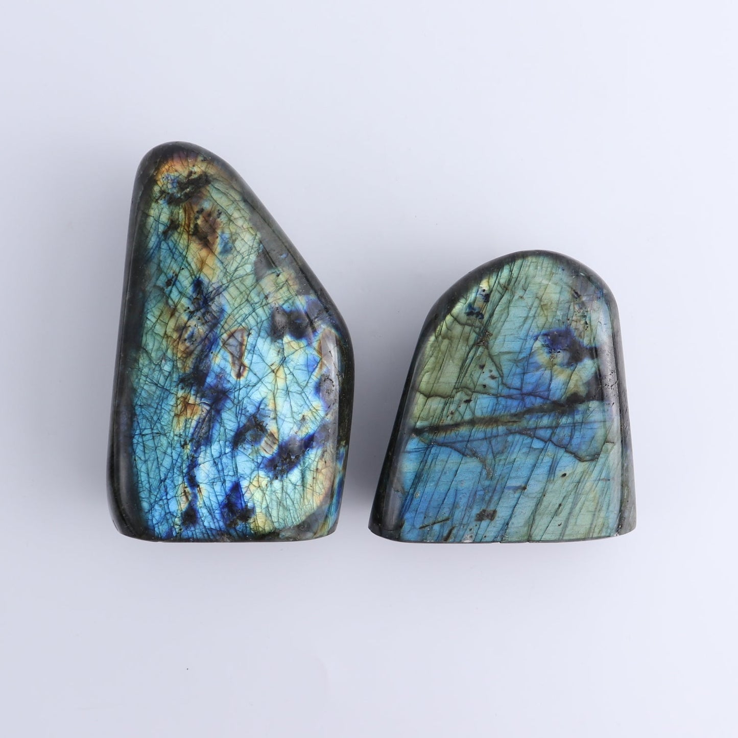 Labradorite Freeform Set of 6