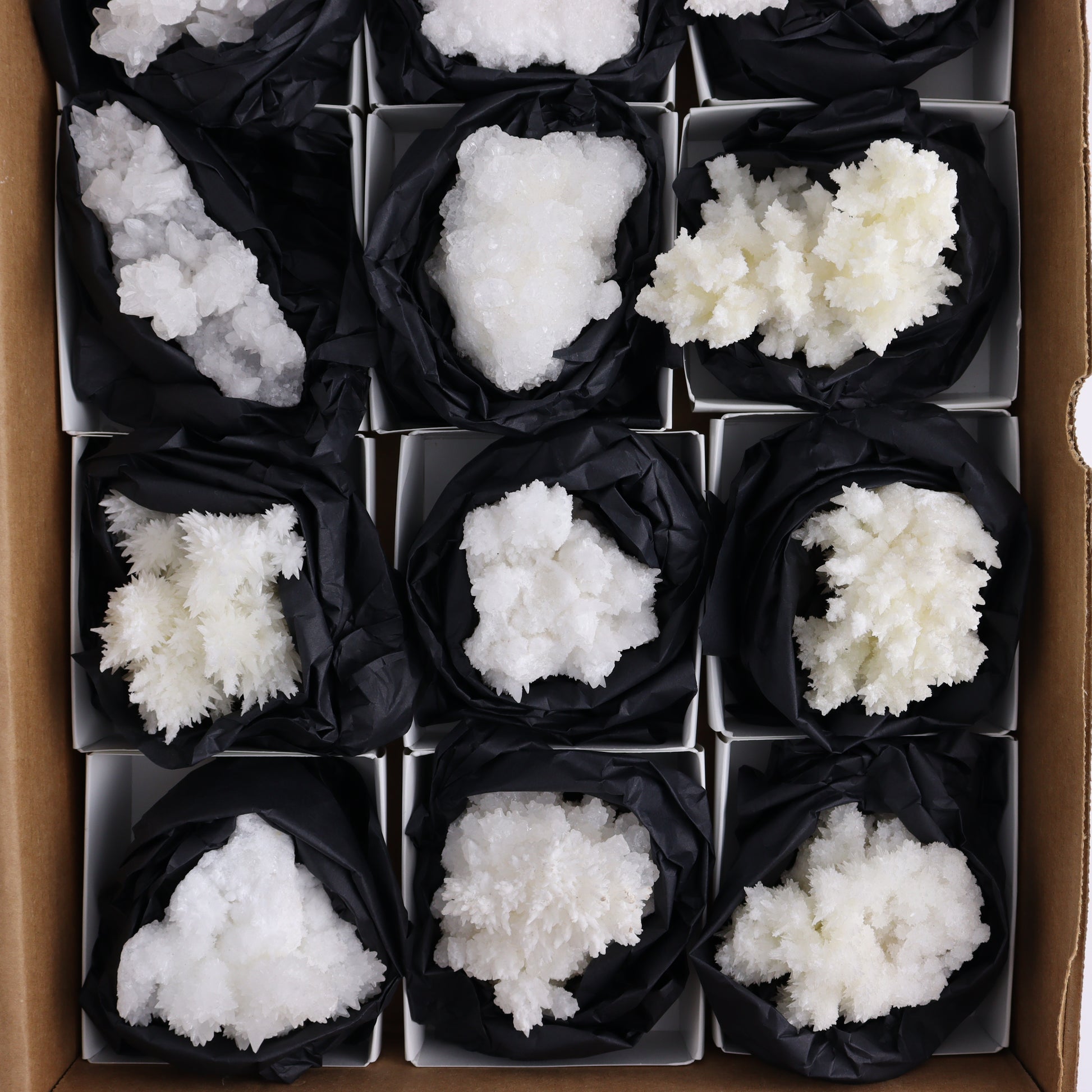 Aragonite Clusters Set of 12 - Expert Wholesale and Supplier of Wholesale Crystals & Bulk Gemstones, ["aragonite","Clusters","Freeforms","Mexico"]