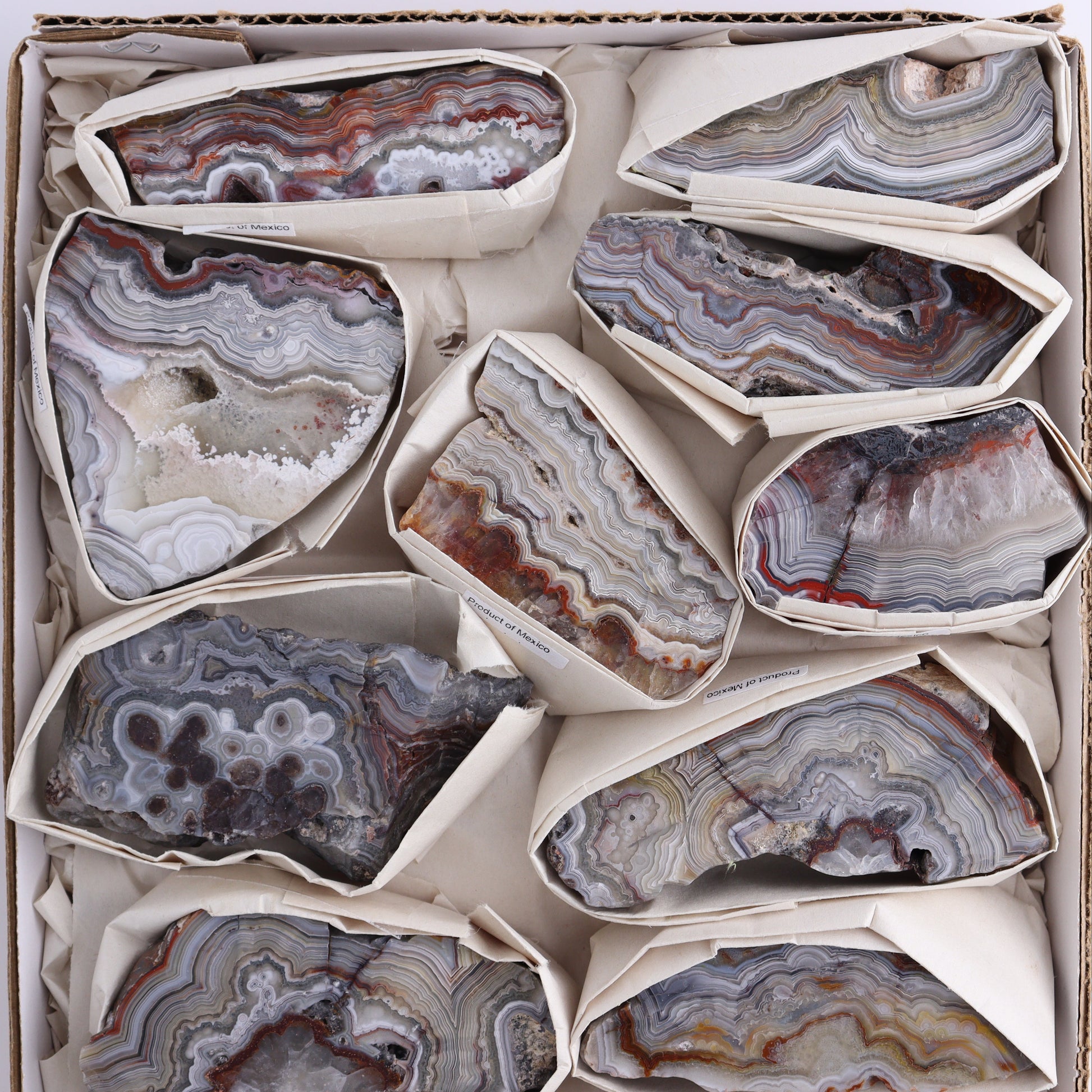 Crazy Lace Agate Flat of 12 - Expert Wholesale and Supplier of Wholesale Crystals & Bulk Gemstones, ["Crazy Lace Agate","Mexico"]